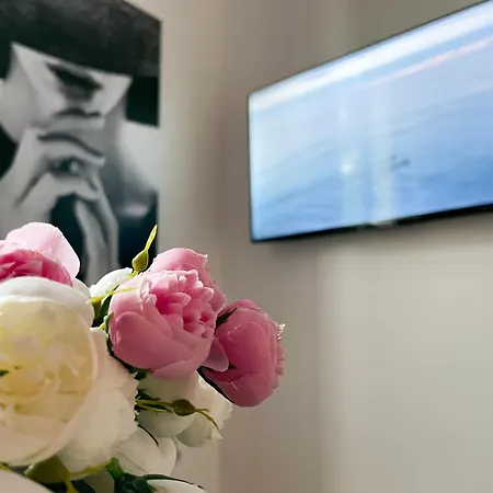 Maison Yuki - Rose Velours - Netflix & Parking *